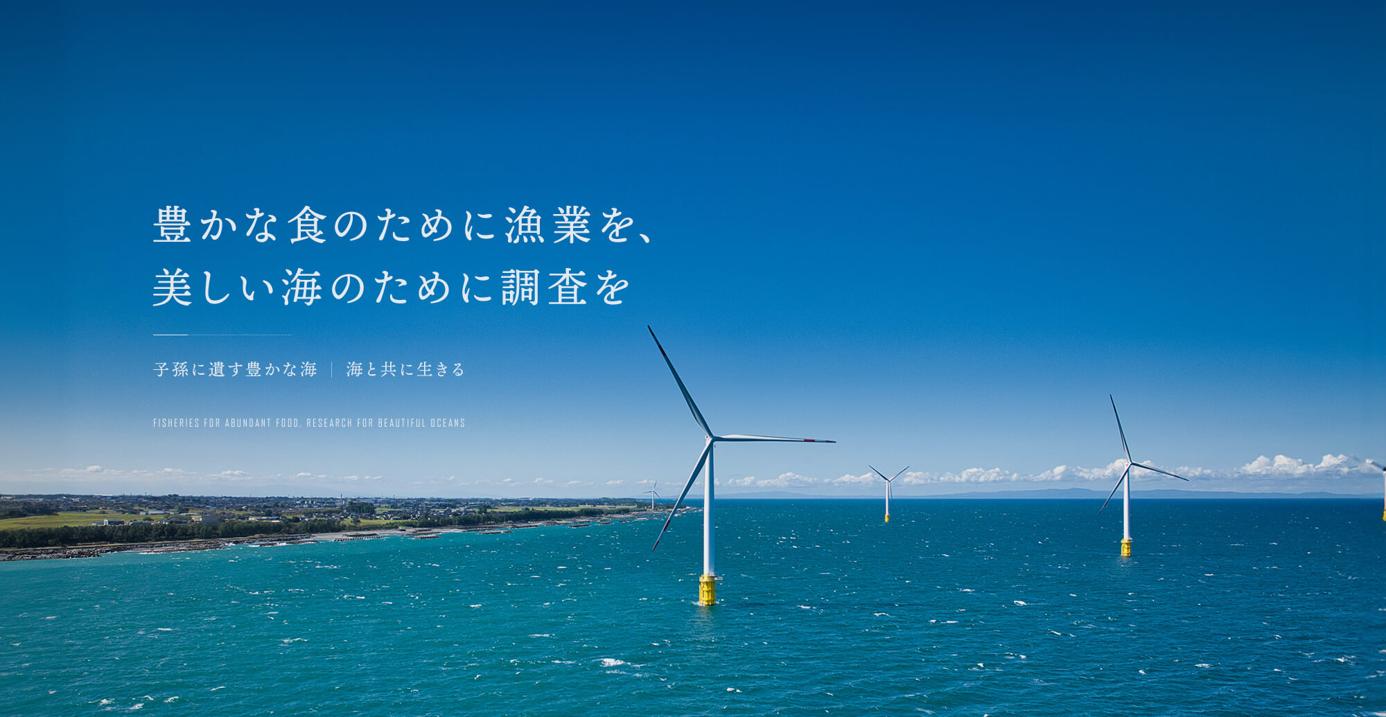 カネモ株式会社